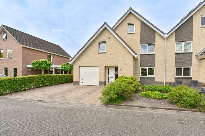 Foto 8 van Grijze Snip 24