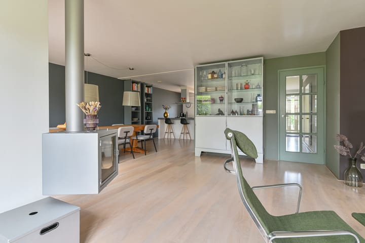 Foto 23 van Grijze Snip 24