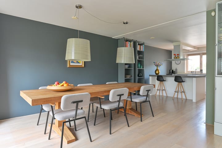 Foto 26 van Grijze Snip 24