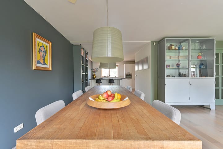 Foto 27 van Grijze Snip 24