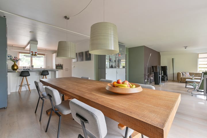 Foto 28 van Grijze Snip 24