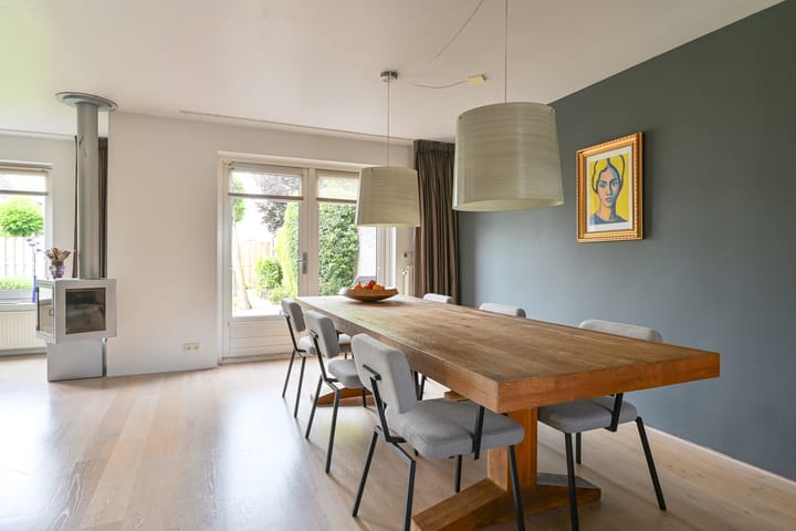 Foto 29 van Grijze Snip 24