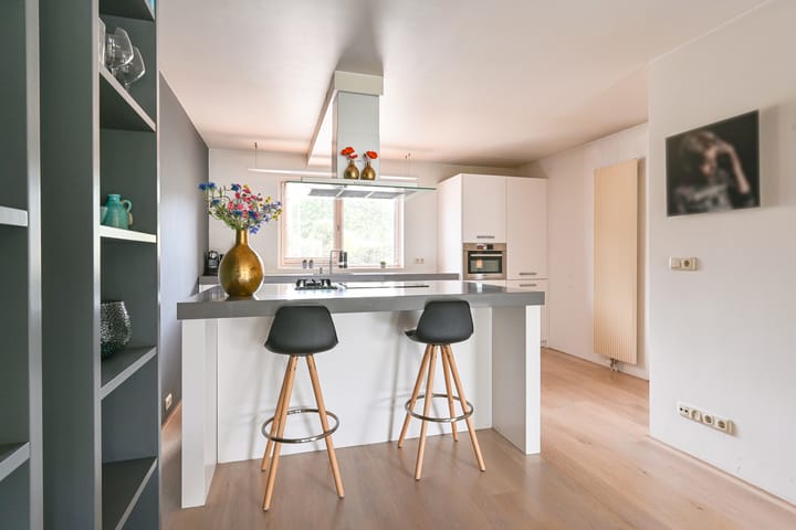 Foto 30 van Grijze Snip 24