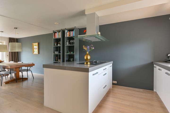 Foto 31 van Grijze Snip 24