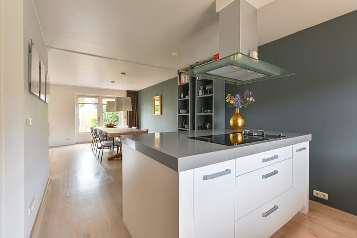 Foto 32 van Grijze Snip 24