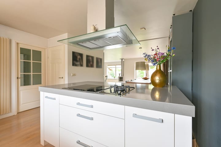 Foto 33 van Grijze Snip 24