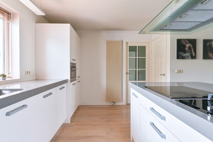 Foto 34 van Grijze Snip 24