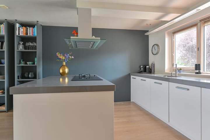 Foto 36 van Grijze Snip 24