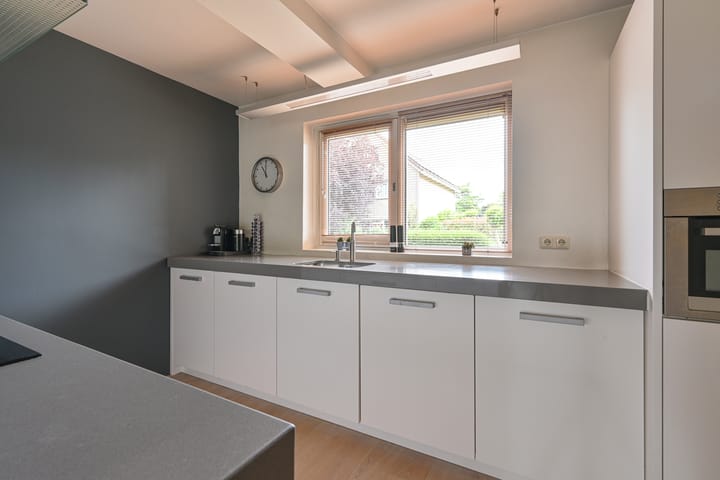 Foto 37 van Grijze Snip 24