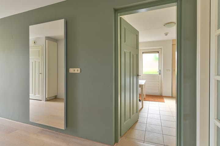 Foto 38 van Grijze Snip 24