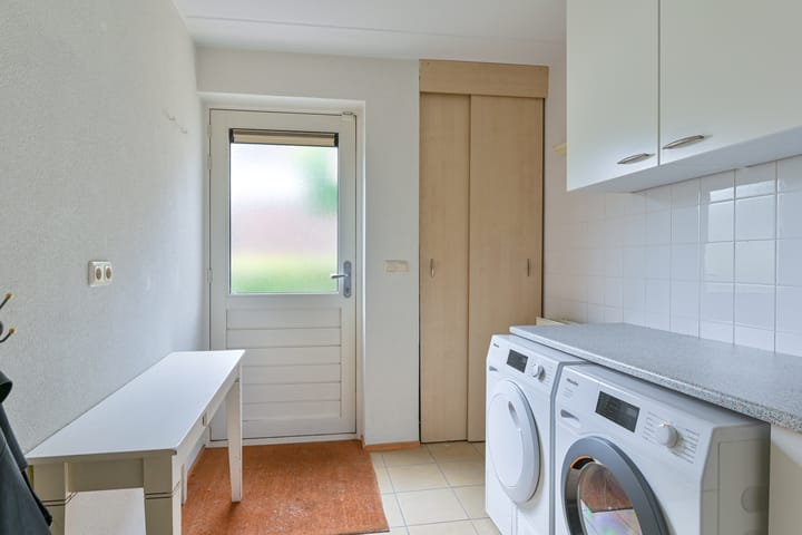 Foto 39 van Grijze Snip 24