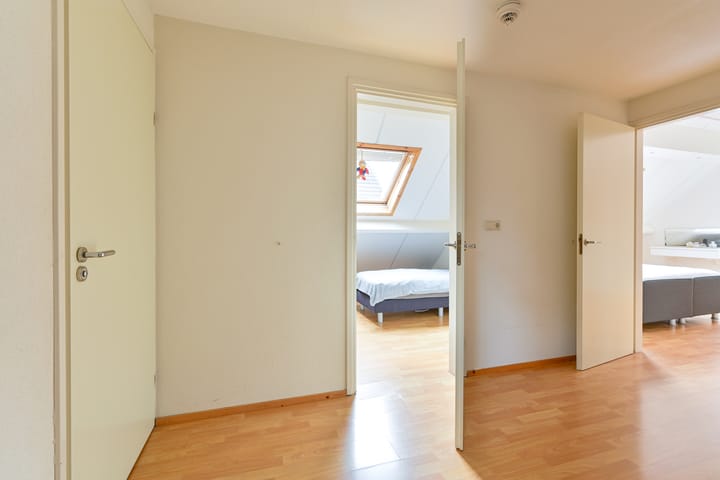 Foto 43 van Grijze Snip 24