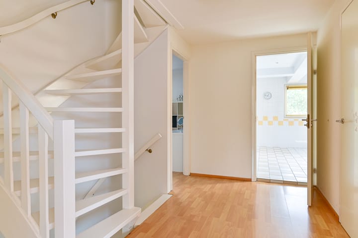 Foto 44 van Grijze Snip 24