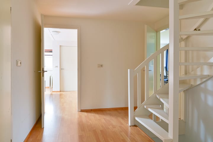 Foto 45 van Grijze Snip 24