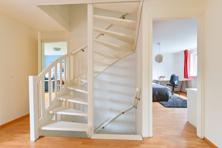 Foto 46 van Grijze Snip 24