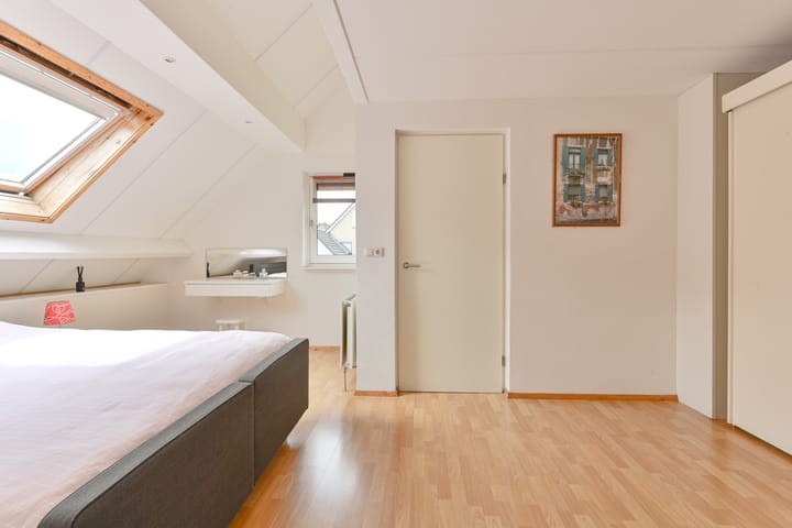 Foto 47 van Grijze Snip 24