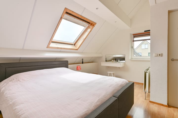 Foto 48 van Grijze Snip 24