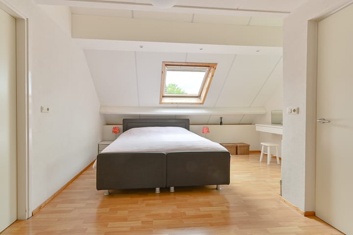 Foto 49 van Grijze Snip 24