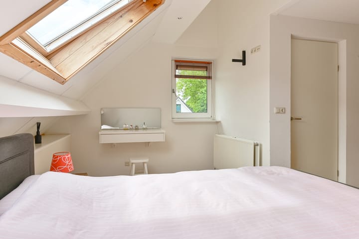 Foto 51 van Grijze Snip 24