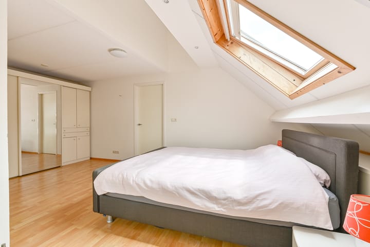 Foto 52 van Grijze Snip 24