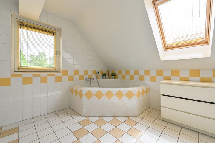 Foto 54 van Grijze Snip 24