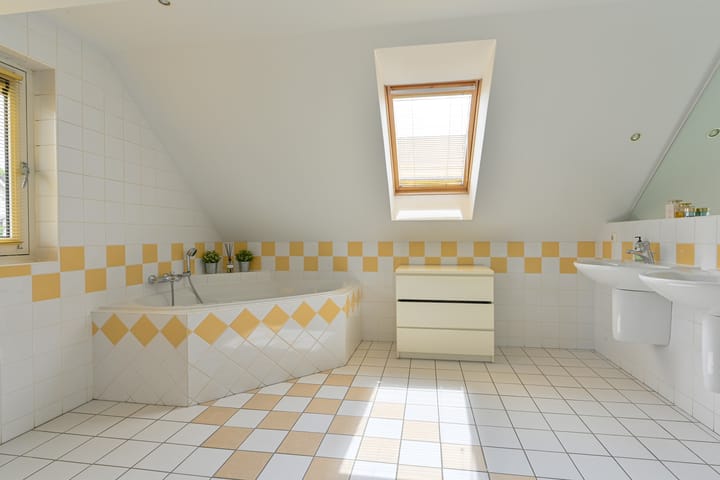 Foto 56 van Grijze Snip 24