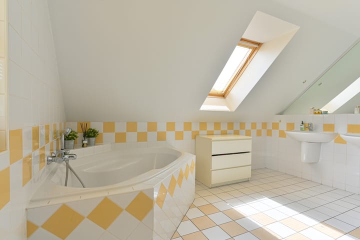 Foto 57 van Grijze Snip 24