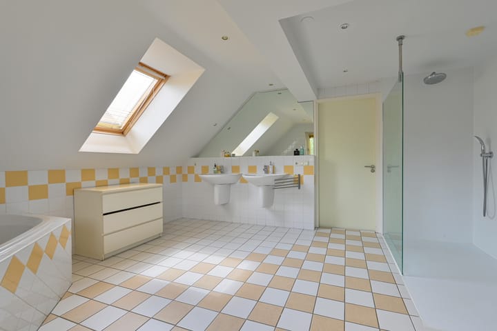 Foto 58 van Grijze Snip 24