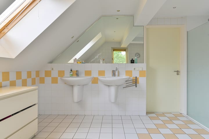 Foto 59 van Grijze Snip 24