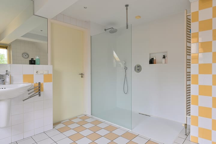 Foto 60 van Grijze Snip 24