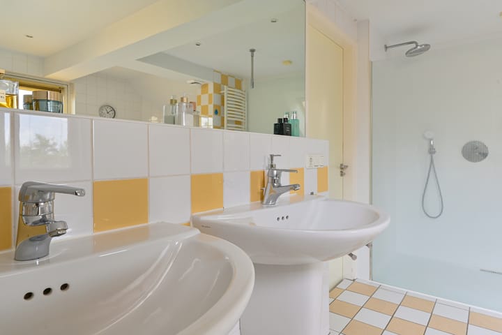 Foto 61 van Grijze Snip 24