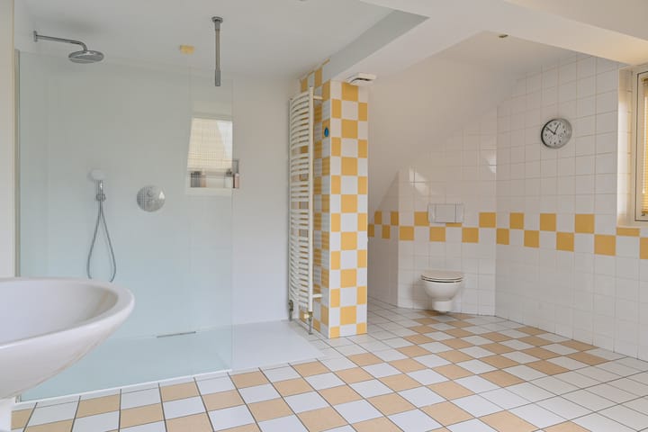 Foto 62 van Grijze Snip 24