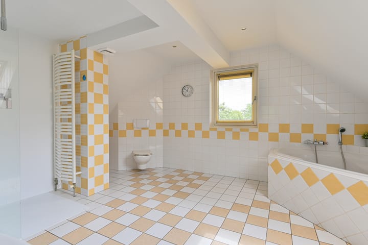 Foto 63 van Grijze Snip 24