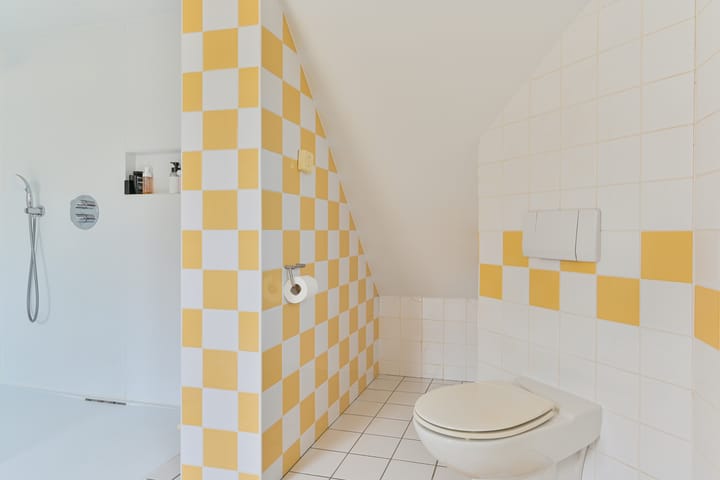 Foto 64 van Grijze Snip 24