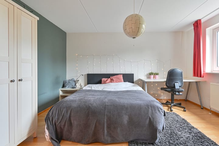 Foto 65 van Grijze Snip 24