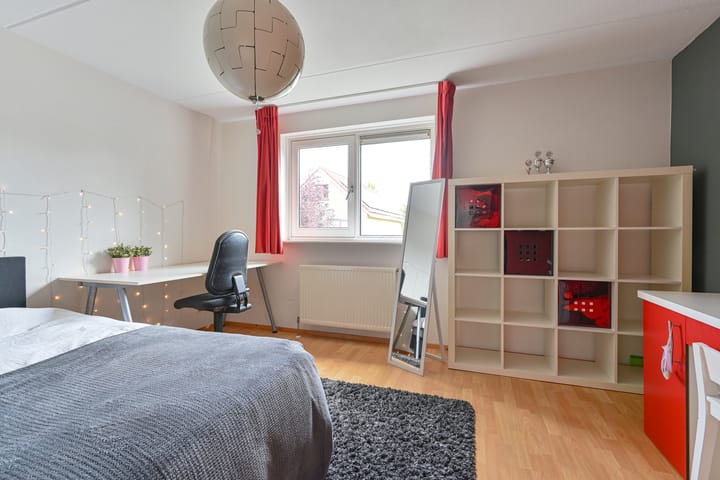 Foto 66 van Grijze Snip 24