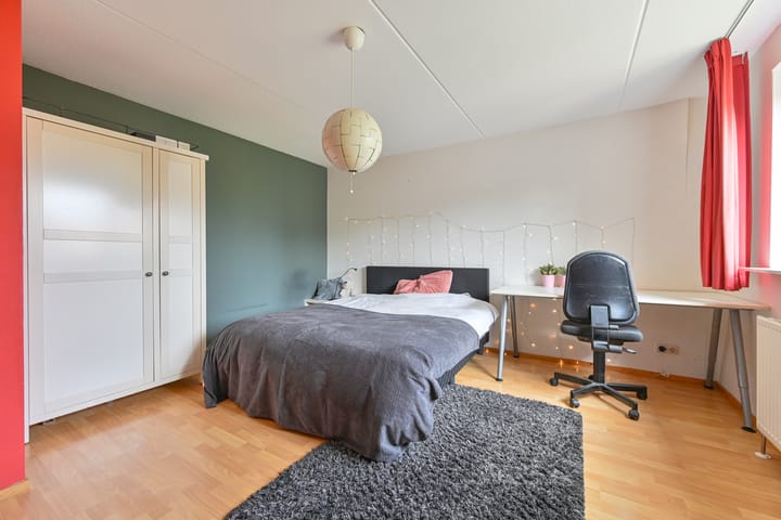 Foto 67 van Grijze Snip 24