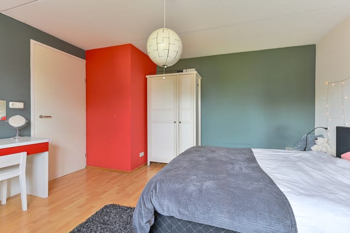 Foto 68 van Grijze Snip 24