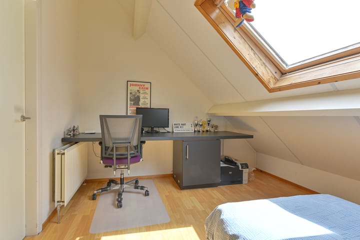 Foto 72 van Grijze Snip 24