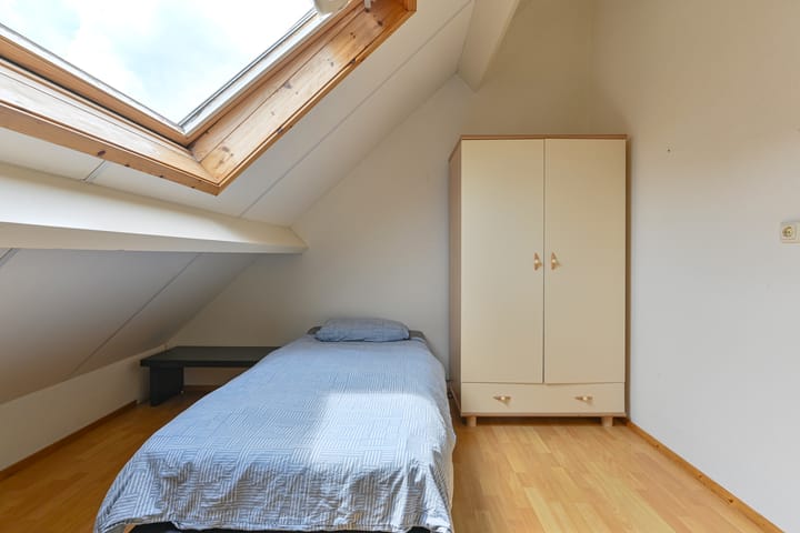 Foto 73 van Grijze Snip 24