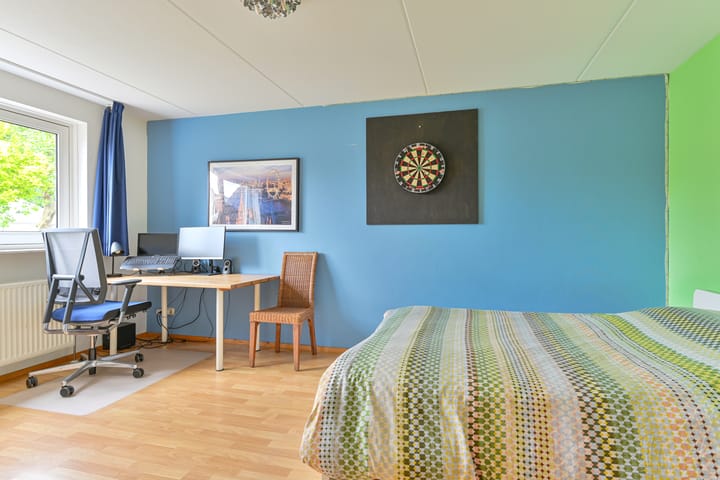 Foto 75 van Grijze Snip 24