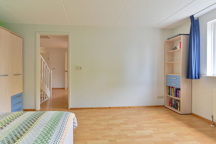 Foto 78 van Grijze Snip 24