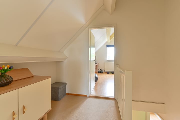 Foto 79 van Grijze Snip 24