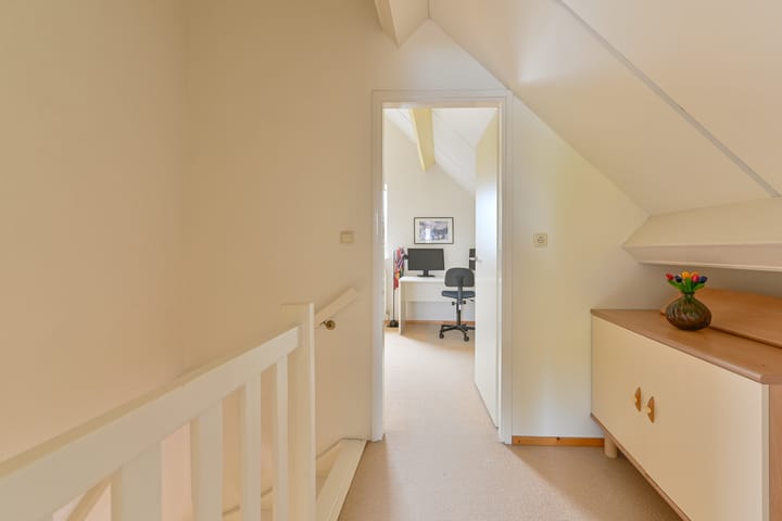 Foto 80 van Grijze Snip 24