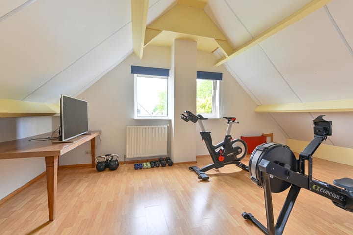 Foto 81 van Grijze Snip 24