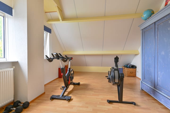 Foto 82 van Grijze Snip 24