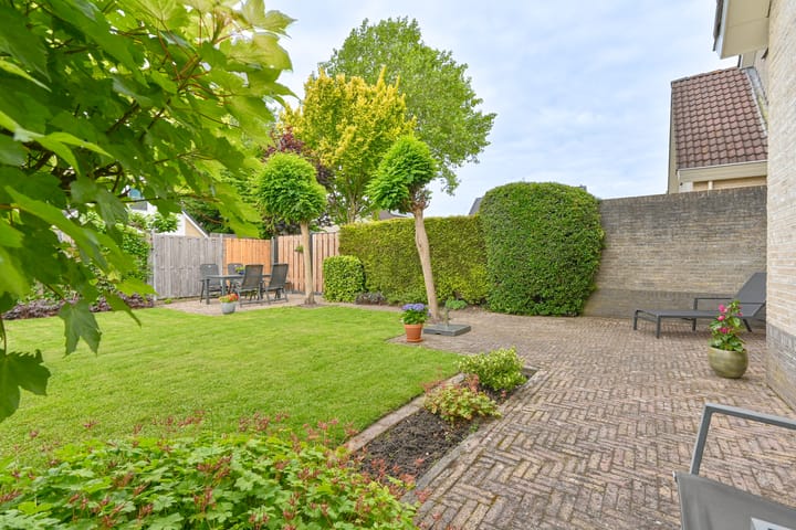 Foto 90 van Grijze Snip 24