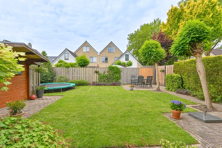 Foto 91 van Grijze Snip 24