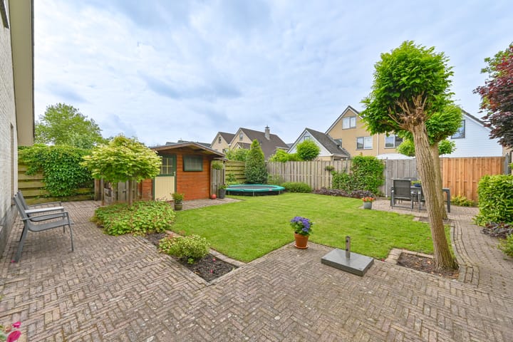 Foto 92 van Grijze Snip 24