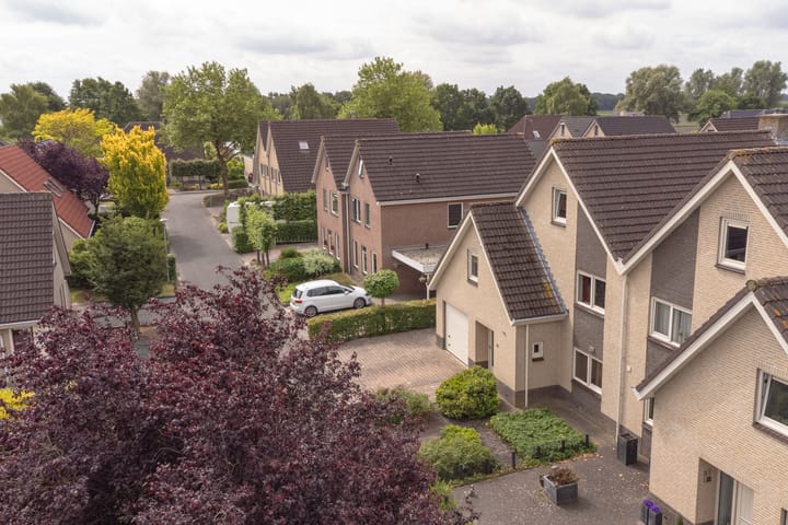 Foto 101 van Grijze Snip 24